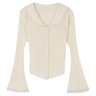 About Passion · 法式蕾丝针织衫上衣女2025新款秋季修身毛衣