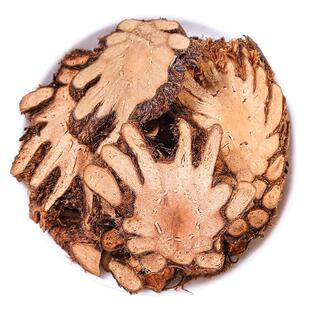 贯众中药材正品官方旗舰店无硫新货绵马贯众大片贯节贯仲贯渠磨粉