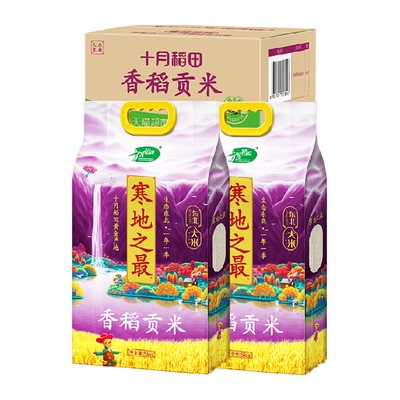 十月稻田东北新米软糯香甜