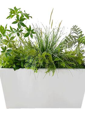 wo+花箱绿植景观户外隔断摆放
