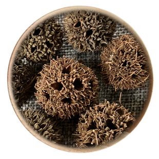 精选 中药材 路路通 枫香果 枫球子 九孔子 50g 可打粉