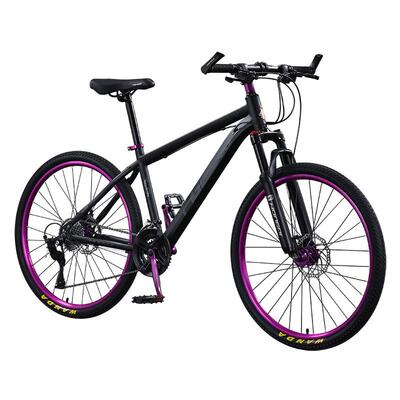 红旗超轻双碟刹男女款山地车