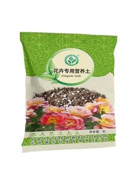 环球加仑矮胖风月季种植土花盆