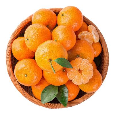 广西当季超甜无籽砂糖橘9斤装