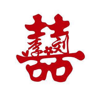 姓氏喜字定制订婚领证登记拍照道具婚房布置装饰婚礼结婚用品大全