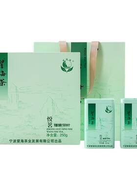 2026新茶宁波望海茶宁海高山云雾茶叶绿茶特产春茶官方正品礼盒装