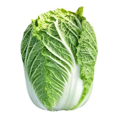 四季核桃纹火凤凰鸡蛋黄大白菜