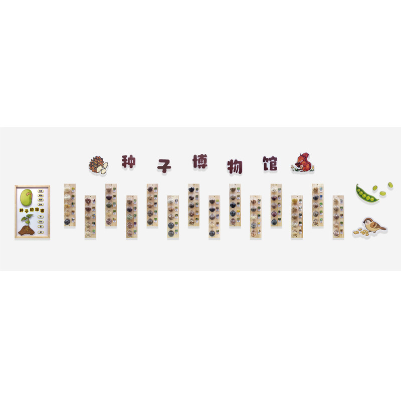 种子博物馆环创幼儿园种子科普墙