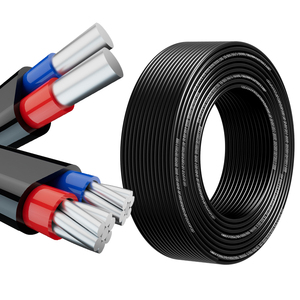 水泵专用铝芯2芯10平方家用户外电缆线双芯护套线防老化防水防晒