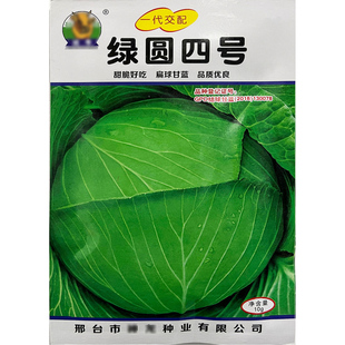 绿园四号10g甘蓝莲花白蔬菜种子籽仔苗春夏秋卷心洋白高丽包菜菜