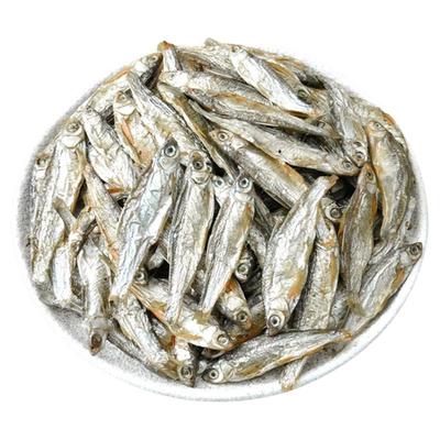 抢！买500条送500条冻干小河鱼