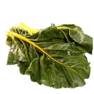 红叶甜菜种子 红牛皮菜红根达菜蔬菜籽 耐寒 适应性强 农家四季播