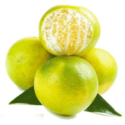 顺丰次日达丨10斤广西皇帝柑大果