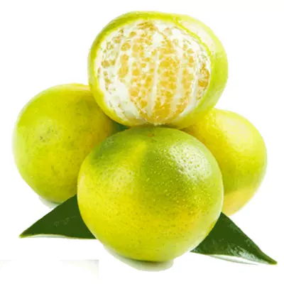 顺丰次日达丨10斤广西皇帝柑大果