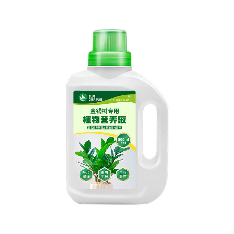 花多多金钱树营养液防黄叶芽
