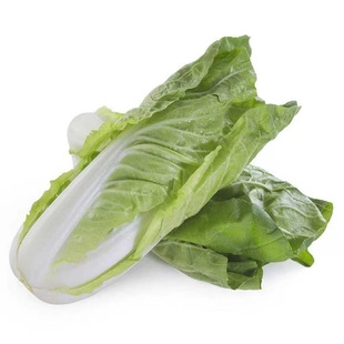 湖北农家自种小白菜新鲜黄白菜霜冻大白菜时令蔬菜当季露天青菜
