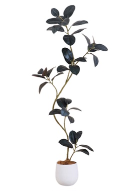 黑金刚橡皮树仿真绿植高端轻奢