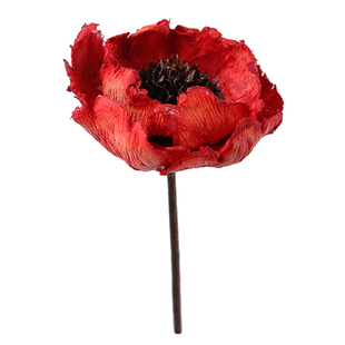 红色虞美人手工干花天然植物艺术插花搭配民宿橱窗客厅装饰摆设花