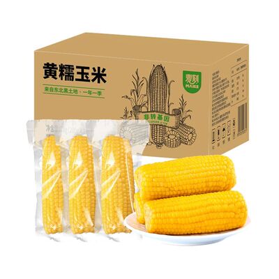 当季新货东北黏糯玉米真空10支装