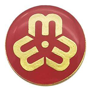胸针巾帼文明岗妇联标志活动会议