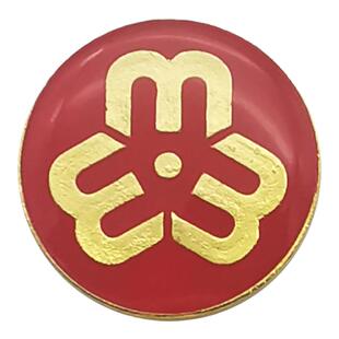 妇女联合会胸针巾帼文明岗徽章金属胸章妇联标志活动会议礼品胸花