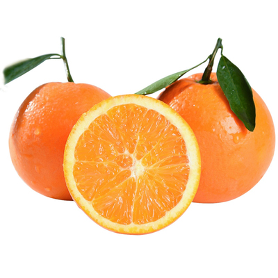 秭归九月红果冻橙子爆汁鲜嫩香甜