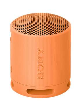 Sony/索尼SRS-XB100无线蓝牙音箱