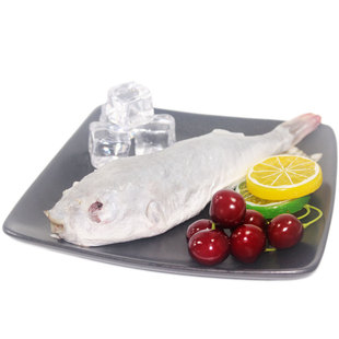 新鲜活河豚鱼刺身暗纹东方鲀食用现宰杀含肉皮已处理冰鲜即食冻品