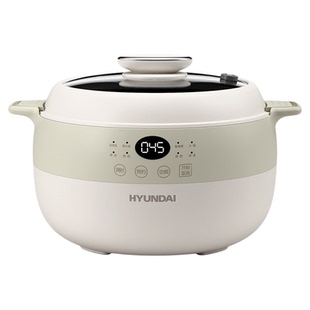 韩国鸳鸯电饭煲压力锅家用饭煲炖煮蒸饭蒸菜一体4升锅双胆非三格