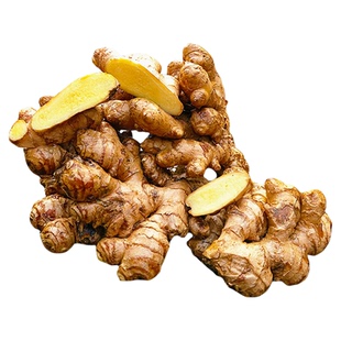 江西保护区深山老品种小黄姜 土品种月子姜自留种老姜辛辣500g