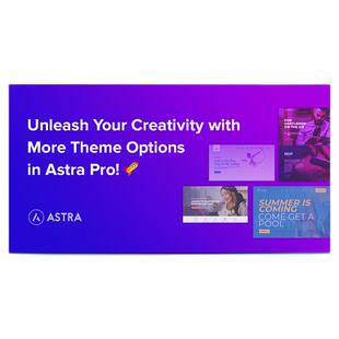 Astra PRO 主题Wordpress主题免激活WP高级模板不限站点 永久使用