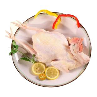 皖南九华山高山农家新鲜散养现杀土童子鸡小公鸡走地竹林鸡整只