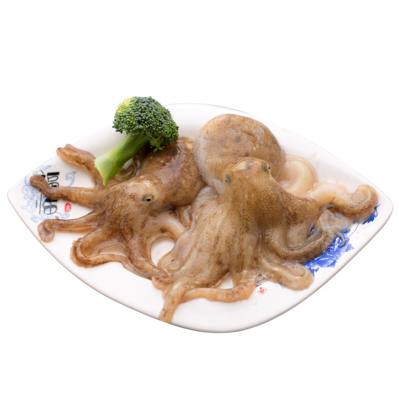 鲜活冷冻迷你八爪鱼