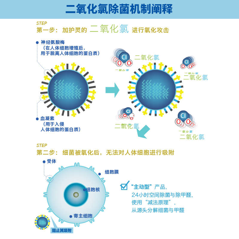 加护灵Cleverin空间除菌清除剂去除甲醛新房家用除味神器60g5件装