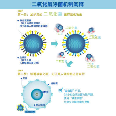 加护灵Cleverin空间除菌清除剂去除甲醛新房家用除味神器60g5件装
