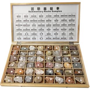 地质队工程师定制作48种沉积岩标本三大类岩石大中小地理教学特惠