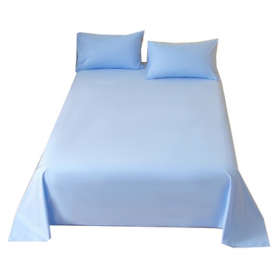 高级感纯色纯棉床单单件天蓝浅海蓝色磨毛被单宿舍家用全棉炕单