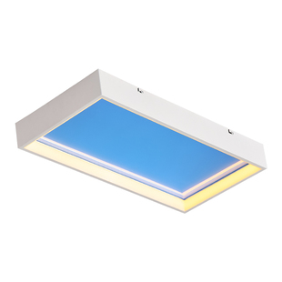 明装晴空顶灯自然光超薄卧室吸顶灯小蓝天已接入米家智能青天空灯