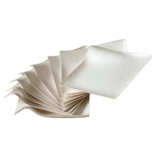 可降解蛋糕纸盘餐盘分食盘wasara同款陶瓷感纸盘甜品盘蛋糕托纸托