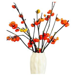 小南瓜鲜花观赏插花花束水培干花切枝花卉室内好养秋冬绿植物装饰