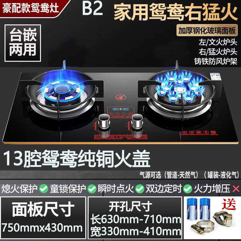 德国品牌燃气灶家用双灶煤气炉天燃气液化气台嵌两用定时猛火灶具