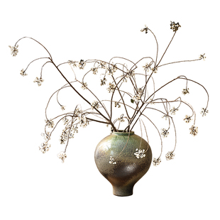 小白果乌桕果干花树枝侘寂风复古花瓶摆件客厅插花干枝高级感真花