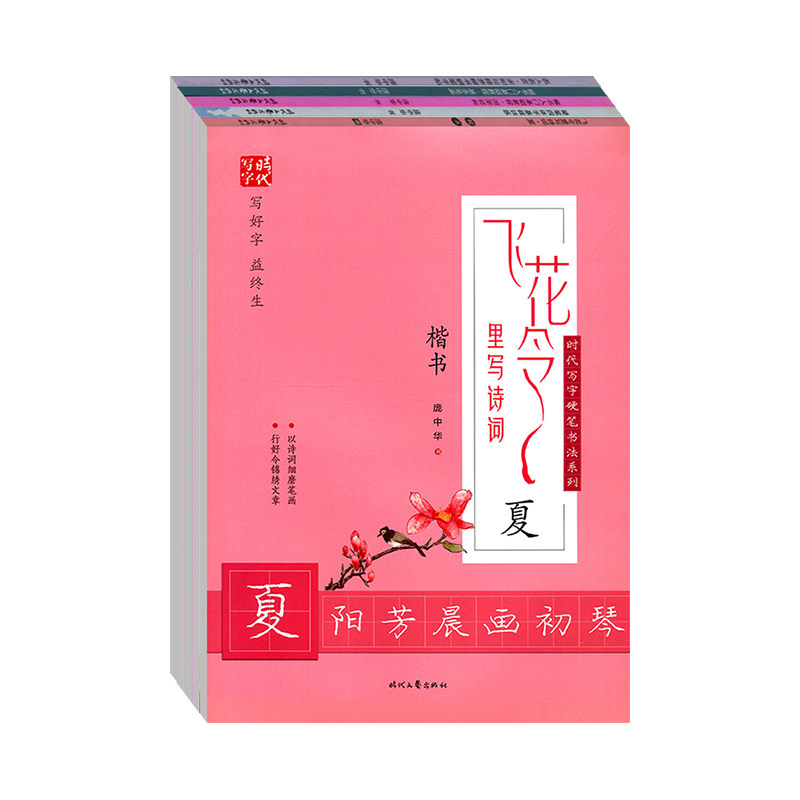庞中华硬笔书法练字帖钢笔字帖