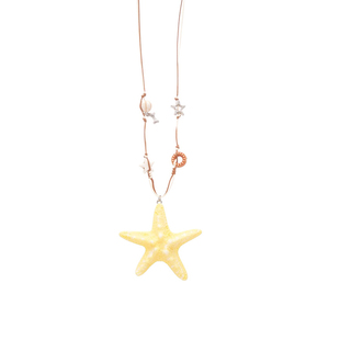 多巴胺长款海星项链女度假高级感饰品毛衣链2025新款海边挂脖配饰