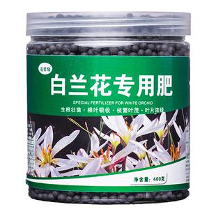白兰花专用肥玉兰花肥料黄角兰营养液白玉兰花肥树苗开花盆栽控释
