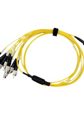 永定MPO-MPO-LC/FC/MTP万兆单模apc光纤跳线8 12芯40G100G模块连接线OS2机房数据中心集束阻燃1/2/3m 1310NM