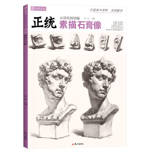 正统素描石膏像 人物头像学五官结构组合画画书籍本照片临摹范本画册零基础静物高考联考步骤美术绘画图册书基础入门教程教学教材