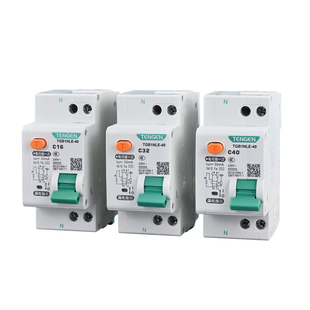 TENGEN天正TGB1NLE-40双进双出DPN漏电保护器1P+N漏电断路家用