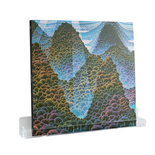 CD墙架黑胶唱片架LP收纳架 ps4游戏光盘整理架蓝光碟亚克力展示架