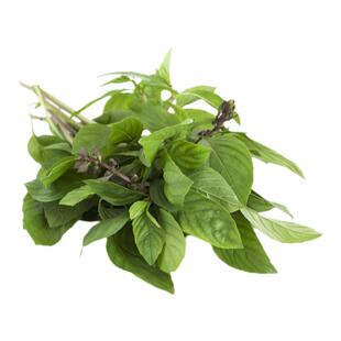 新鲜九层塔食用台湾金不换非罗勒叶冬阴功食材香料菜三杯鸡九层塔